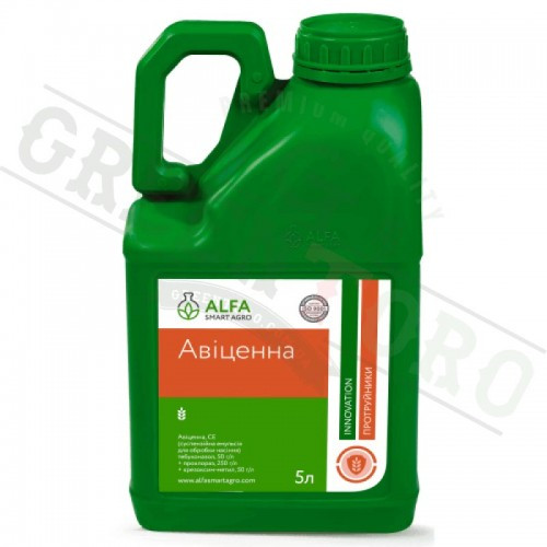 Протравитель Авіценна