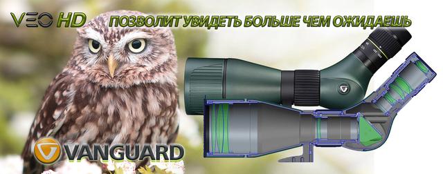 Vanguard Endeavor XF