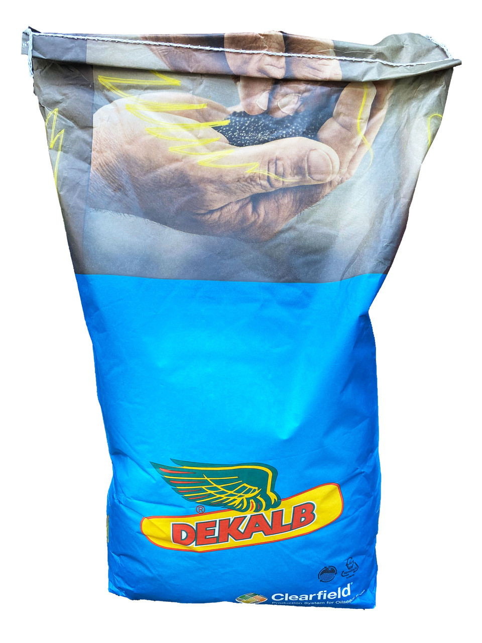Озимий ріпак ДК Імплемент КЛ Bayer