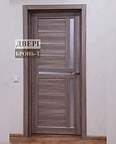 Двері BTDOORS Трініті, фото 3