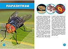 Енциклопедія Хто з ким дружить, або дивовижі симбіозу 20,5х24,5см 160стор (укр) арт.0467, фото 2