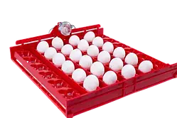 Лоток автоматичного перевороту для інкубатора на 36 (144) яєць з мотором 220в