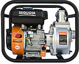 Мотопомпа бензинова для чистої води SEQUOIA SPP600, фото 2
