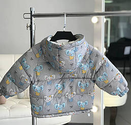 Дитяча куртка демісезонна зі слониками Сіра 17758-02 159, Серый, Унисекс, Весна Осень, 2 года