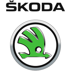 Накладки і товари для Skoda (шкода)