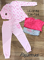 Пижама детская для девочек, Sincere 134-164. оптом LL-3186