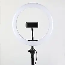 Селфі-кільце світлодіодне Ring Fill Light QX-300 30 см 184478 для блогера, фото 6