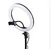 Селфі-кільце світлодіодне Ring Fill Light QX-300 30 см 184478 для блогера, фото 7