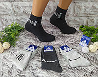 Шкарпетки чоловічі махрові розмір 41-44 середня довжина спортивні за 1 пару 43217
