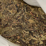 Шен пуер Гушу Гейтанг Дзвін стародавнього Дерева 2014 року 357 г, фото 3