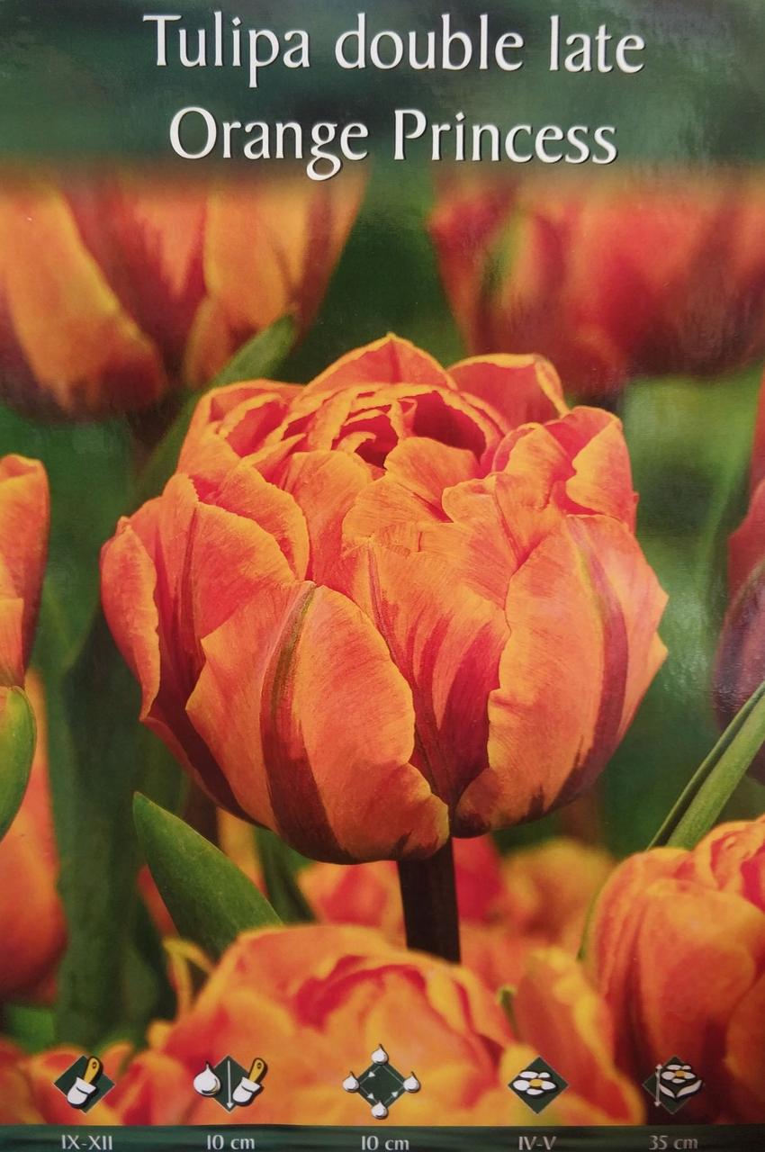 Тюльпан Orange Princces 1шт (S135)