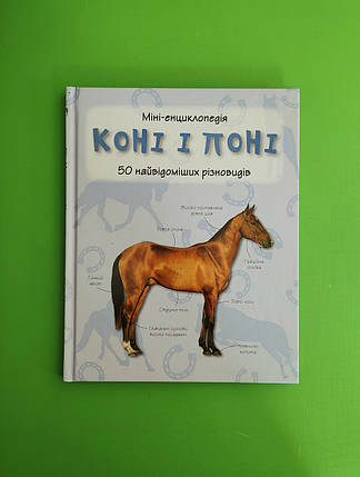 Коні і поні. 50 найвідоміших різновидів, Міні-енциклопедія. Країна мрій, фото 2