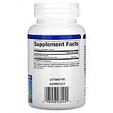 Natural Factors, WellBetX, берберин, 500 мг, 60 капсул, фото 2