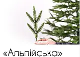 Ялинка лита штучна Альпійська 2.3 метра зелена, фото 4