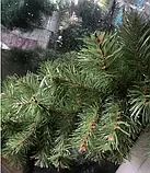 Гірлянда хвойна штучна ялина 300х23 см, фото 6