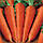 Насіння моркви Цідера - 1кг. MoravoSeed, фото 2