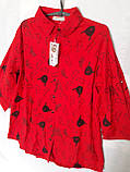 Блузка сорочка жіноча котонова стрейч червона з принтом 50 52, фото 4