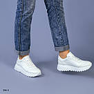 Шкіряні жіночі білі кросівки, фото 9