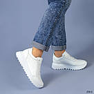 Шкіряні жіночі білі кросівки, фото 10