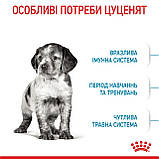 ROYAL CANIN MEDIUM PUPPY 15.0 кг, фото 5