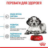 ROYAL CANIN MEDIUM PUPPY 15.0 кг, фото 6