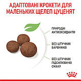 ROYAL CANIN MEDIUM PUPPY 15.0 кг, фото 7