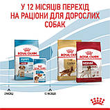 ROYAL CANIN MEDIUM PUPPY 15.0 кг, фото 8