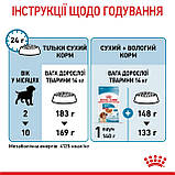ROYAL CANIN MEDIUM PUPPY 15.0 кг, фото 10