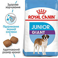 Корм для молодих собак ROYAL CANIN GIANT JUNIOR 15.0 кг