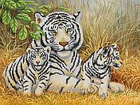 Схема для вышивки бисером Тигры Цена указана без бисера