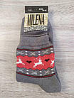 Шкарпетки жіночі махрові зимові Червоноград 23р, 25р Мілена, фото 4