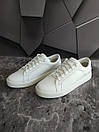 Чоловічі кросівки Calvin klein (кельвін кляїн) білі 40-45 р, фото 4