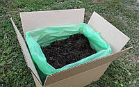 Грибная коробка Белого шампиньона Готовый набор для выращивания грибов Семейный 30 х 30 см 5 кг