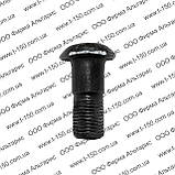 Болт карданний Т-150, з гайкою, короткий, 125.36.113-1, фото 2