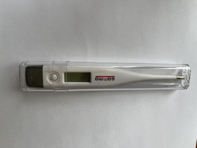 Електронний термометр Gamma Thermo Base (ID#1503986602), цена: 164 ...