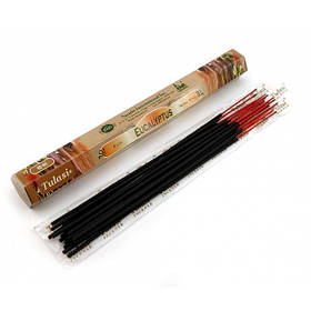 Eucalyptus (Евкаліпт) (Tulasi)