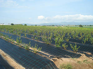 Агроткань Agrocover (Agrojutex) Чехія