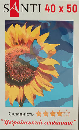 Канц Карина за номерами SANTI /953948/ Украдений сонник 40 x50cм Santi - Видавництво Старого Лева придбати в Буквоїд, книжковий магазин