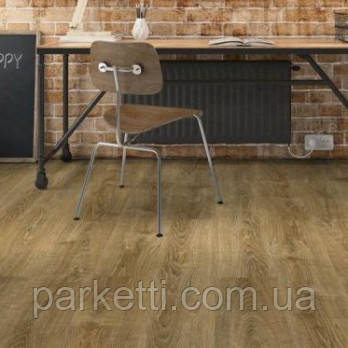 Peli Parquet GL520 Golden V4 Дуб Чайкарський, ламінат