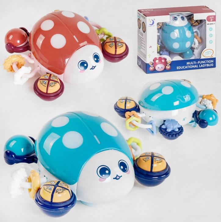 Навчальний Музичний Жук