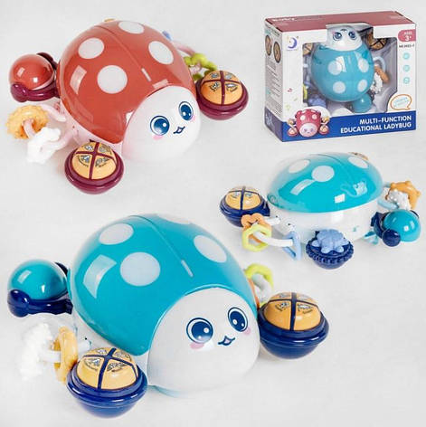 Навчальний Музичний Жук, фото 1