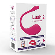 LOVENSE LUSH 2 WEARABLE BULLET VIBRATOR | Puls69, фото 3