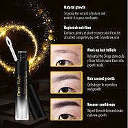 Сыворотка для росту бровей і ресниц Omy Lady Eyebrow Enhancer, 5мл | Puls69, фото 3