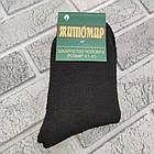 Шкарпетки чоловічі високі зимові з махрою р.41-45 чорні ЖИТОМИР ДУКАТ 161749615, фото 3