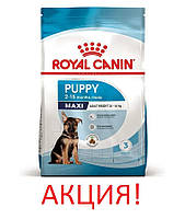 АКЦІЯ! Сухий корм Royal Canin Maxi Puppy для великих порід, 12КГ + 3КГ