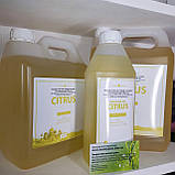 Масажне масло "Цитрус" універсальне Thai Oils Таїланд 1 літр (загальний та антицелюлітний масаж), фото 6