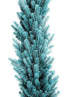 Гірлянда густа з хвої Еліт 1.5 м лита (Блакитна)