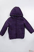 Куртка темно-фиолетовая "Minimalism" для мальчика (116 см.) Midimod