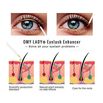 Сироватка для росту вій і брів Omy Lady Eyelash Enhancer, 5 мл | Limon, фото 2