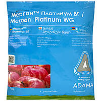 Фунгицид Мерпан ВГ 1 кг Adama